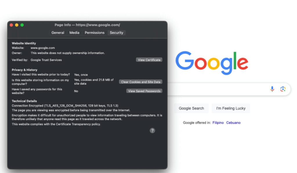 Viewing Google