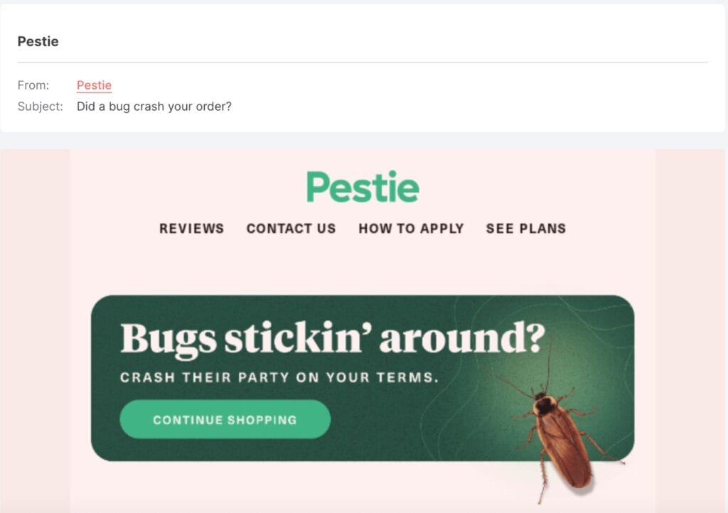 Abandoned cart email example