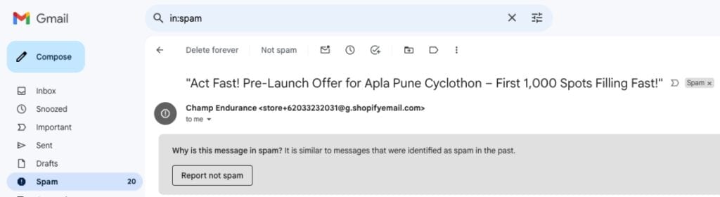 Salesy Email Example