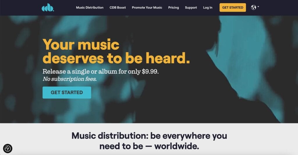 Landing page newsletter example