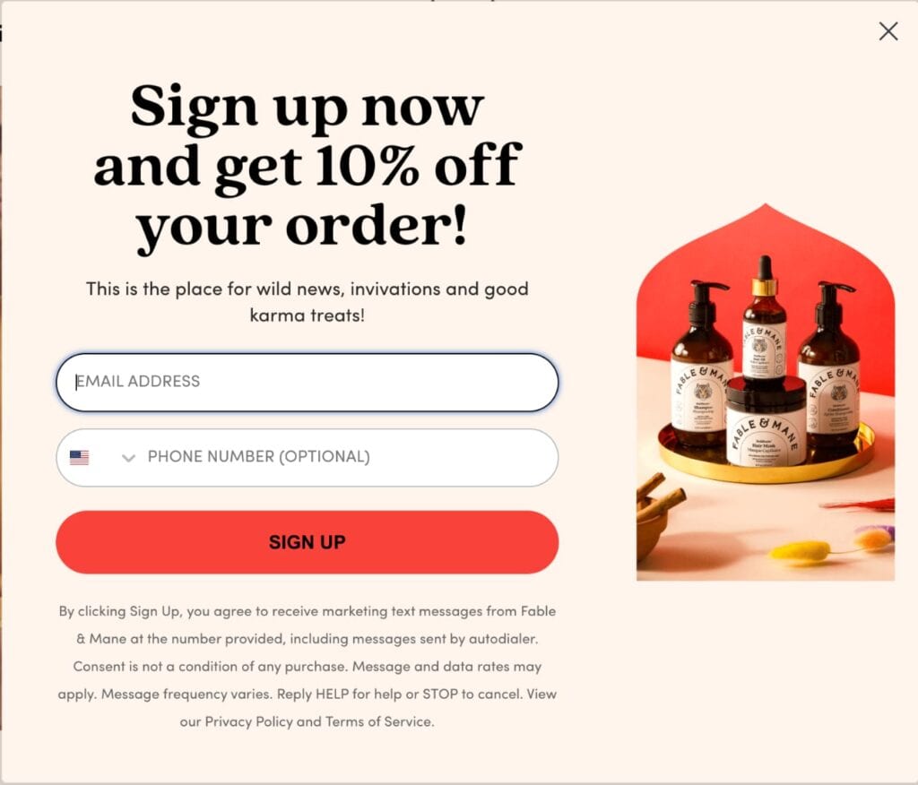 Website pop-up example