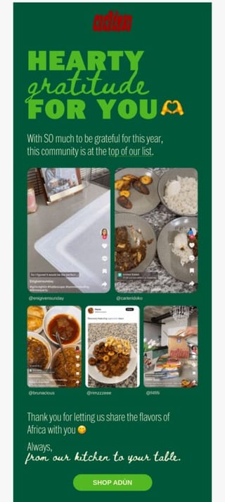 broadcast email example promoting indian food on a green background