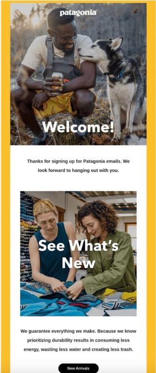 Patagonia Welcome Email