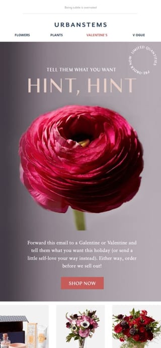 Valentines day gift guides