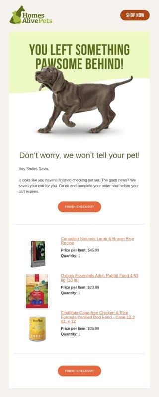 Homes Alive Abandoned Cart Email