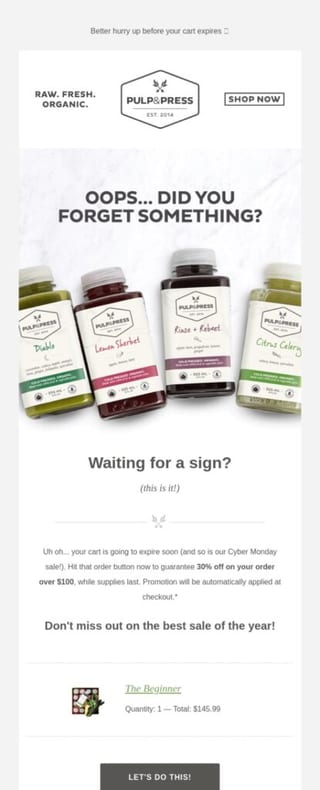 abandoned cart email example
