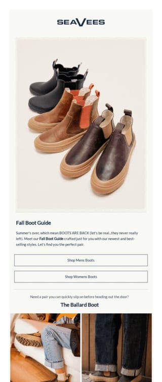 abandoned cart email example