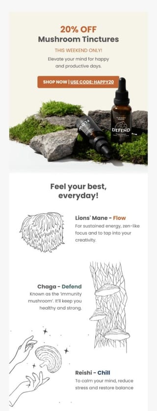 Automated email responses example — Promotional emails. Source