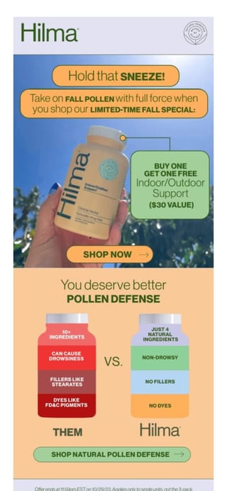 Hilma newsletter example