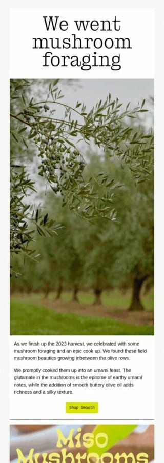 Newsletter email design example