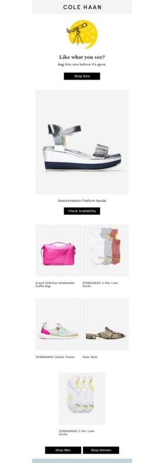 Cole Haan customer segmentation example