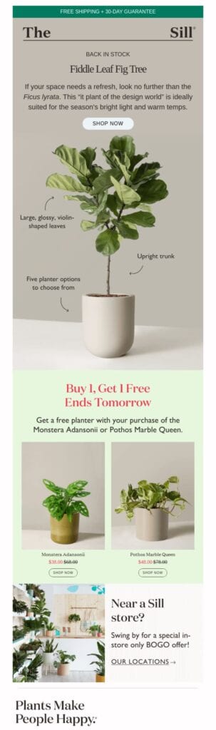 local email marketing - promotional email example
