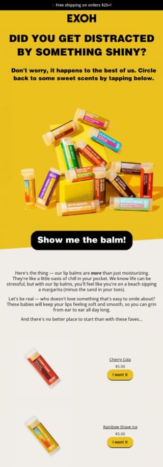 re-engagement email campaign example