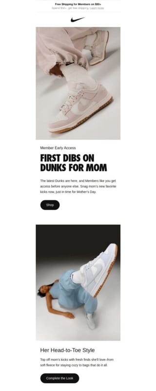Nike demographic segment example