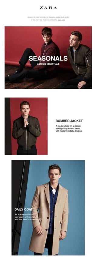 Zara demographic segmentation example