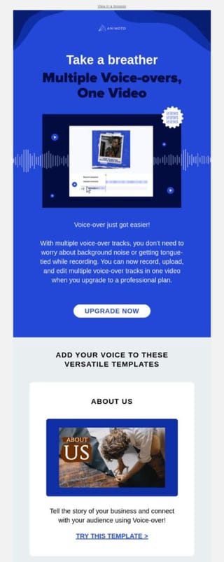 Animoto upsell email example 4