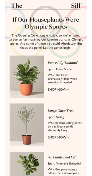 An email from The Sill with product recommendations
