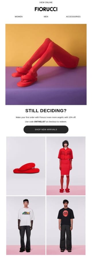 E-commerce promotional email