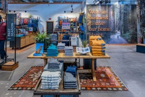 Patagonia stores