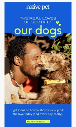 dog day - august newsletter idea