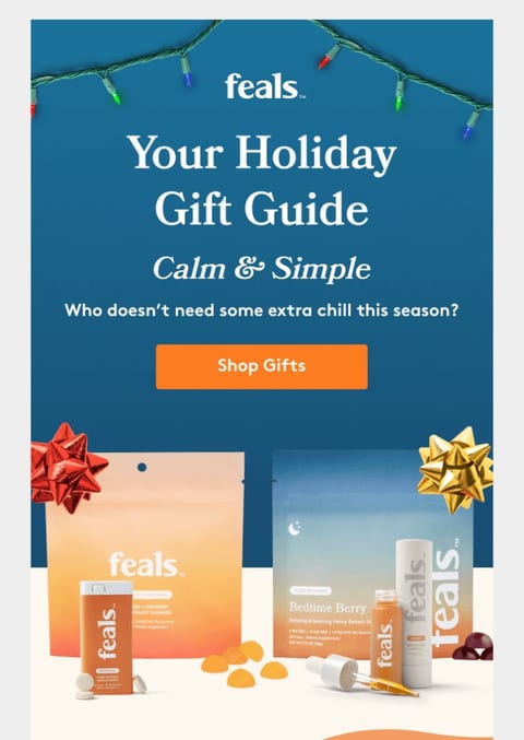holiday email campaign - gift guide example