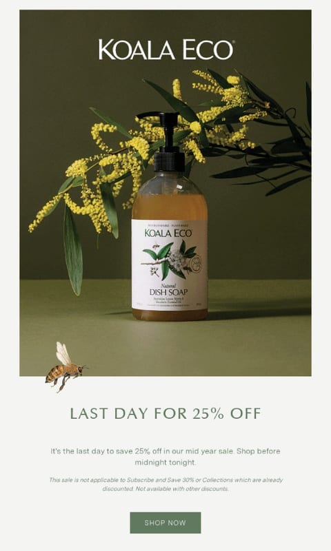 Re engagement Email Campaign #3 – Koala Eco – Last Day to Save 25_