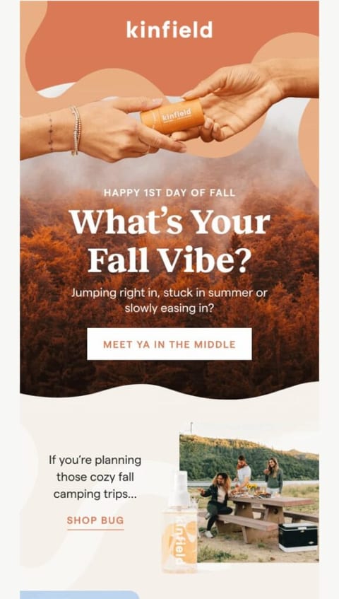 lowercase font trend for email