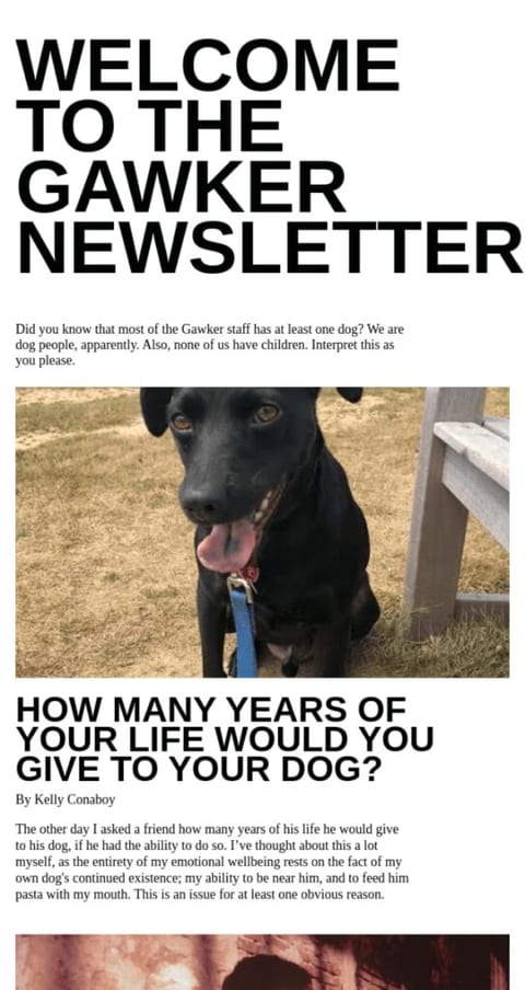 Gawker Welcome email