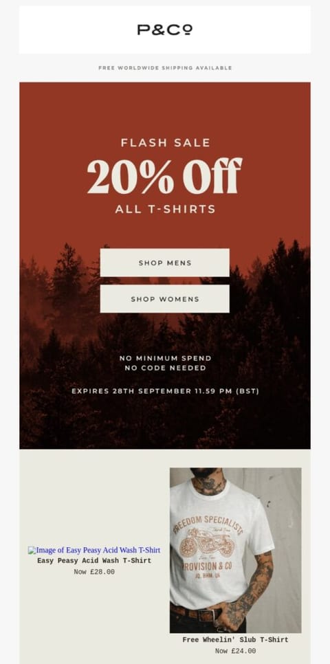 P&amp;C Flash sale promotional email