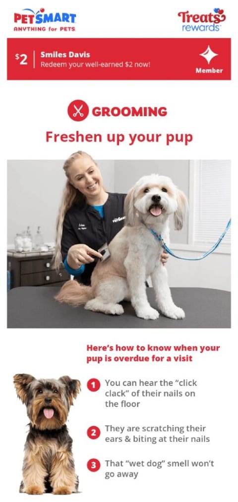 Pets are welcome email
