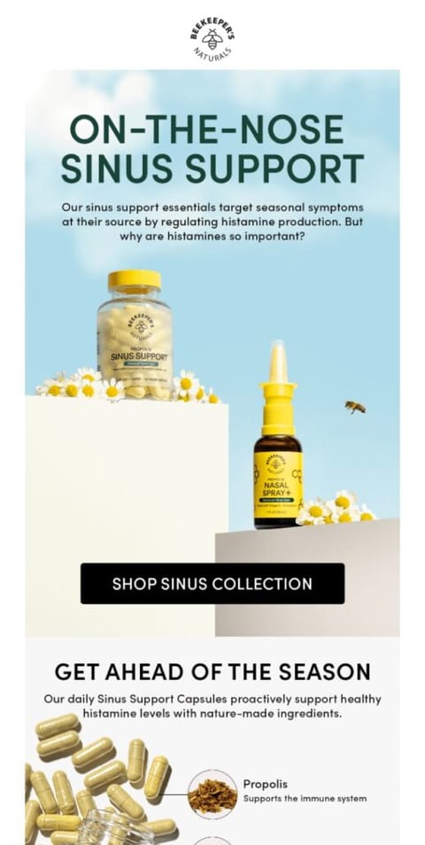 email trend email example