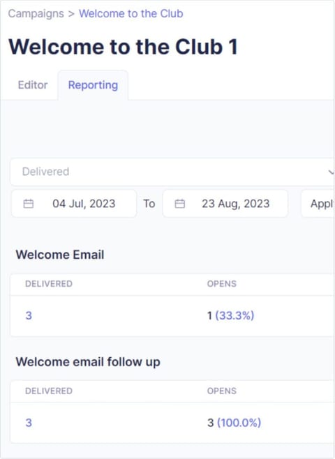 post campaign report example