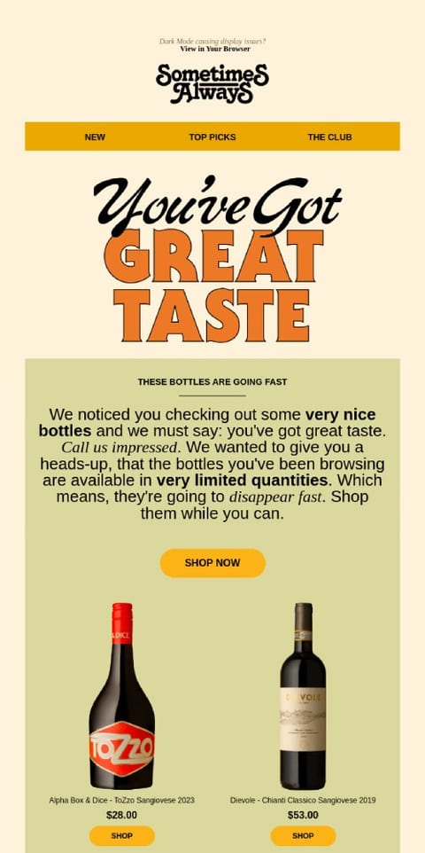 cart abandonment email blast template