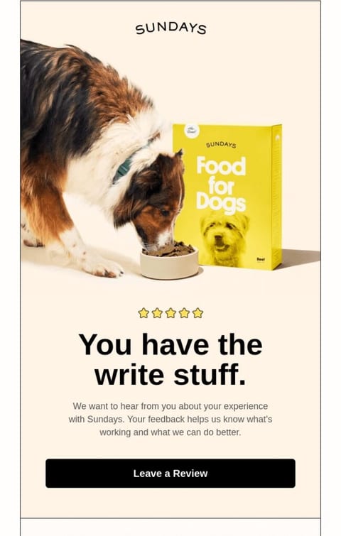 Automated email responses example — Post-purchase email. Source