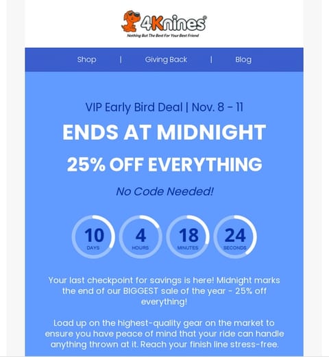 Gamified email with timer
