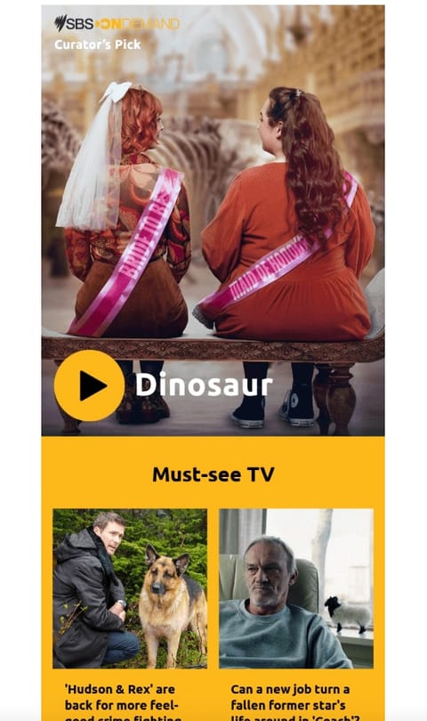 SBS video in email