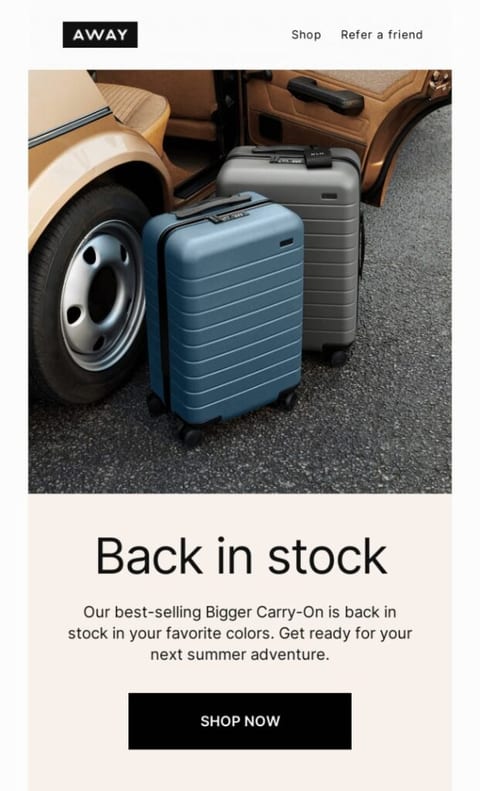 What is back-in-stock email example
