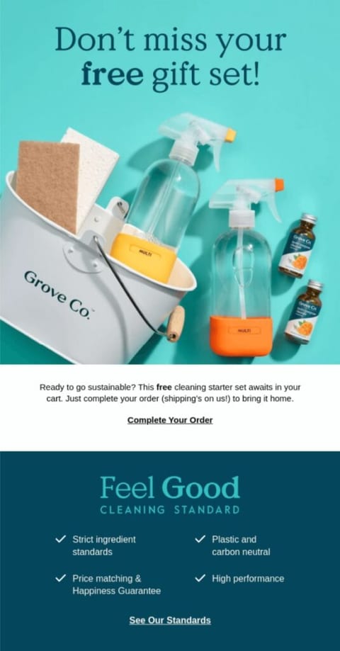 abandoned cart email campaign example