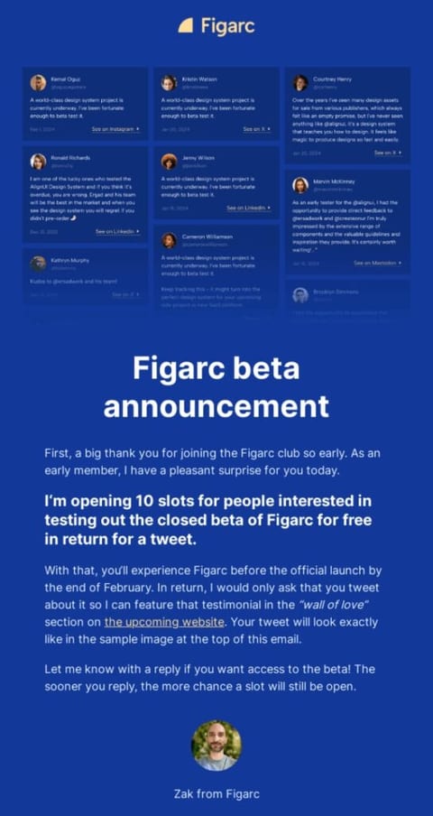 beta test email example