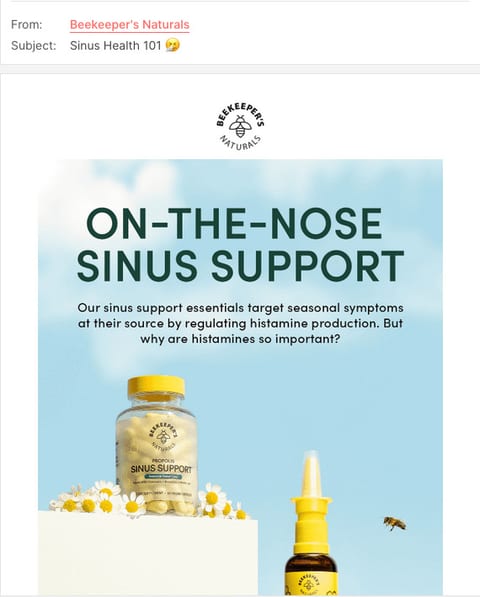 BeeKeepers Naturals Sinus Health