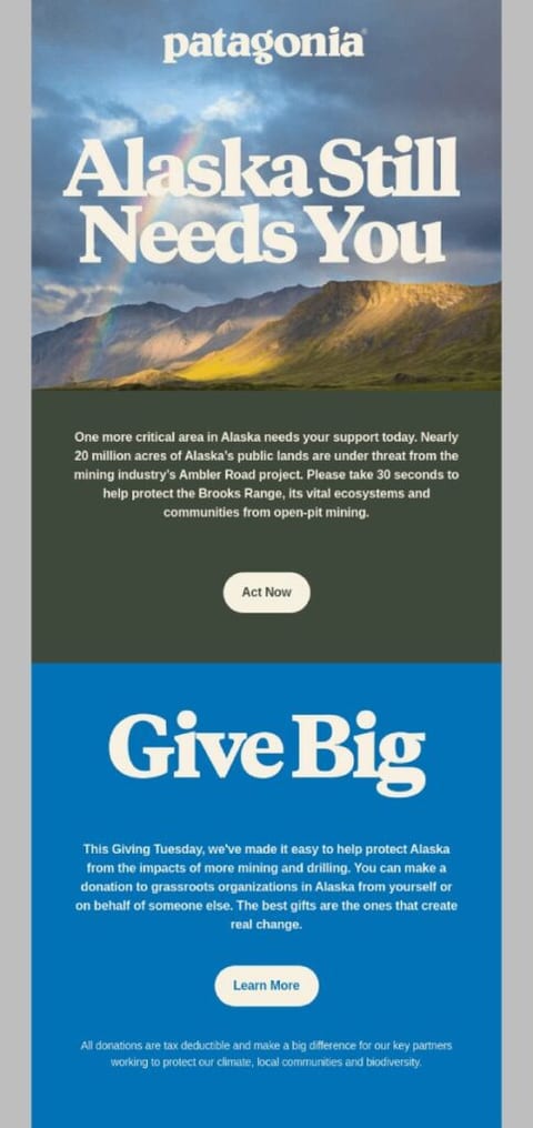 Giving tuesday email example 1