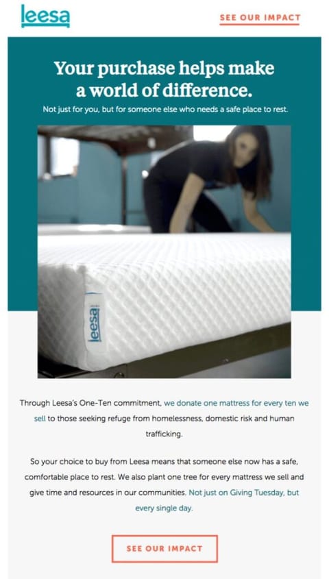 giving tuesday email example 7