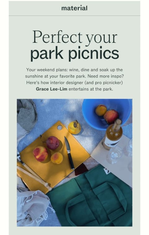 Picnic day june newsletter