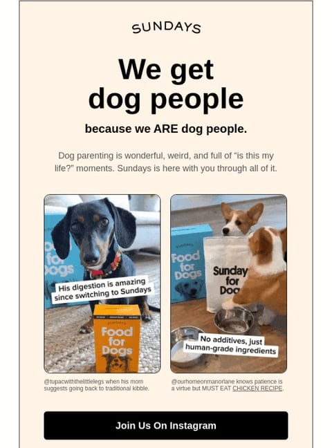 Pet day - august newsletter ideas