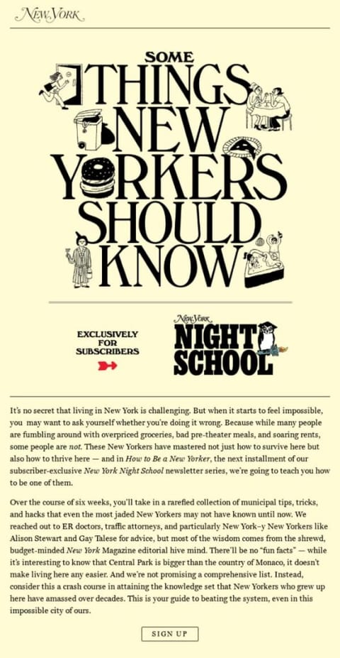educational email newsletter example