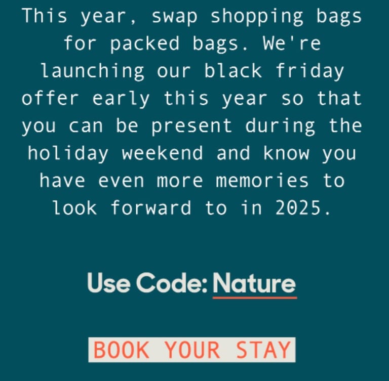 Black friday email CTA
