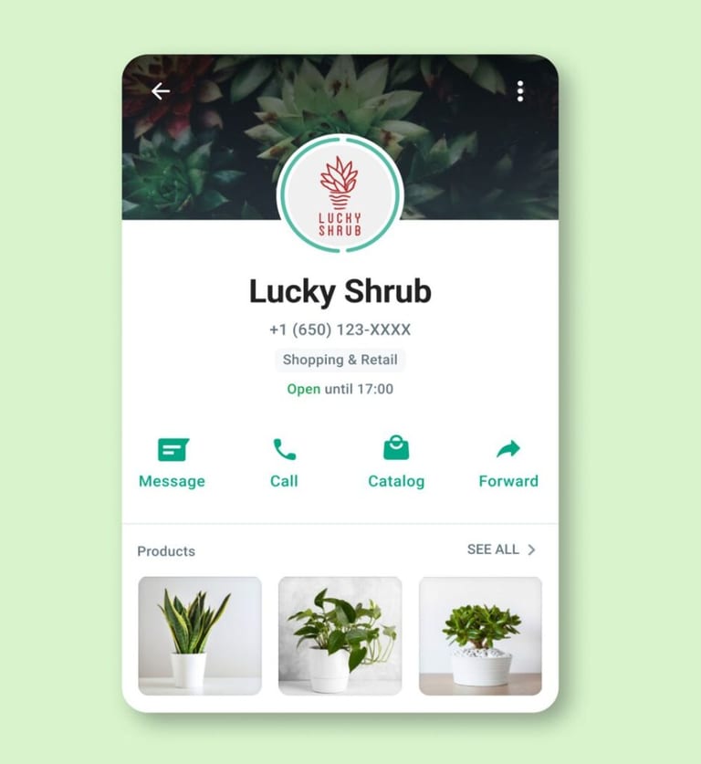 WhatsApp Business Interface