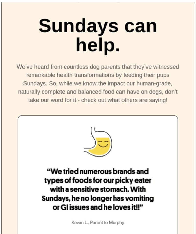 Brand storytelling for august newsletters